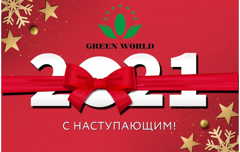 С наступающим Новым 2021 годом!