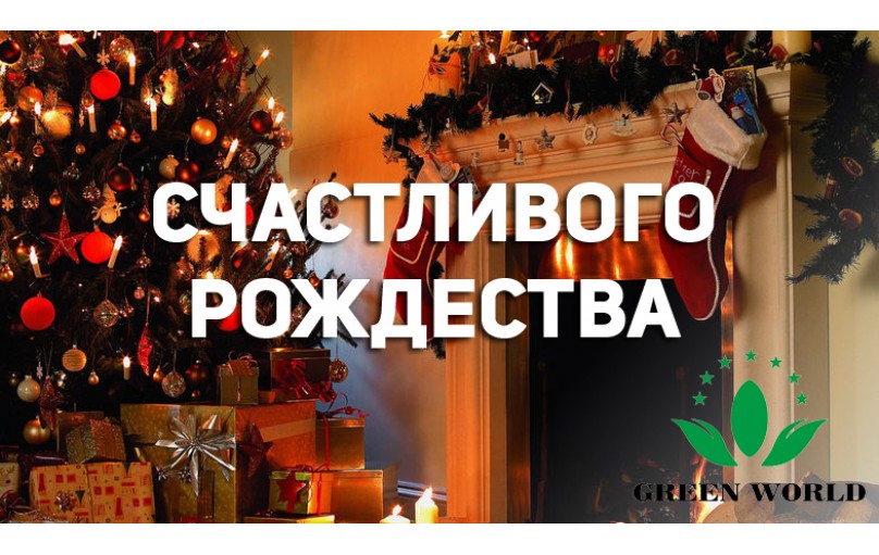 Компания Green World поздравляет с католическим Рождеством!