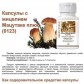 Капсулы с мицелием мацутаке плюс