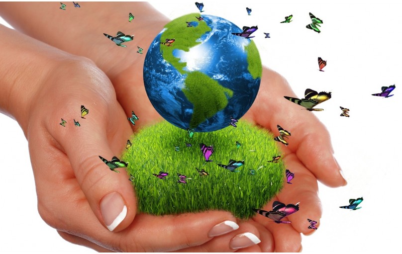 Международная корпорация «GREEN WORLD»