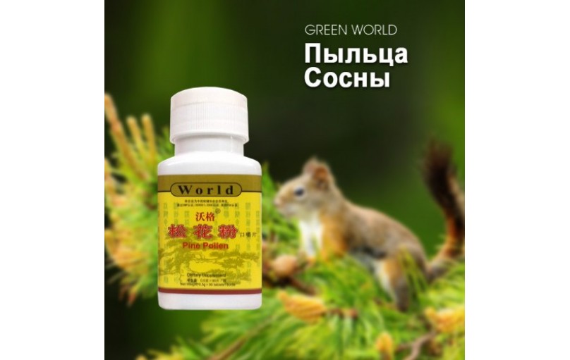 Связь между пыльцой сосны и здоровьем человека