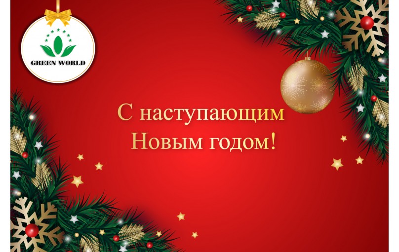 С наступающим Новым годом!